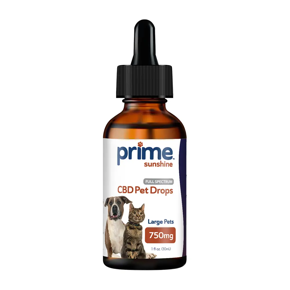 CBD oil for pets