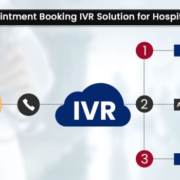 How-Appointment-Booking-IVR-Solution-for-Hospitals-Work