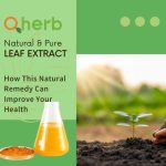 Leaf-extract