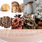Mushroom-Extract