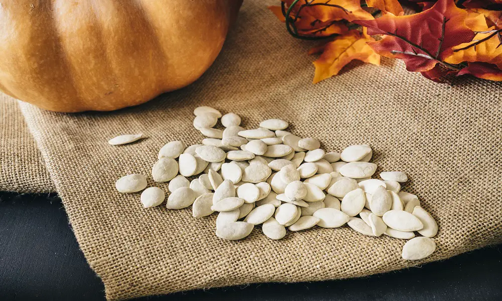 guest blog Health Benefits of Pumpkin Seeds