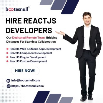 Hire ReactJS Developers
