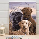 paint-by-numbers-three-labrador-dogs2