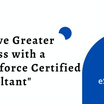 Achieve Greater Success with a Salesforce Certified Consultant