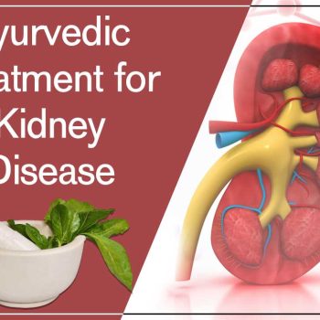 Ayurvedic-treatment-for-kidney-disease