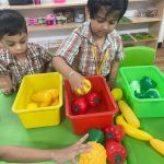 BDMJS The Role of Play in Preschool