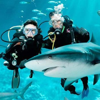 Best-Diving-sites-in-Phuket-scuba-diving-day-trips-packages