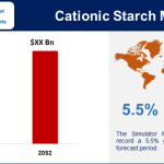 Cationic Starch Market
