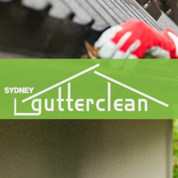 Gutter-Clean-Banner