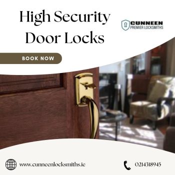 High Security Door Locks (10)
