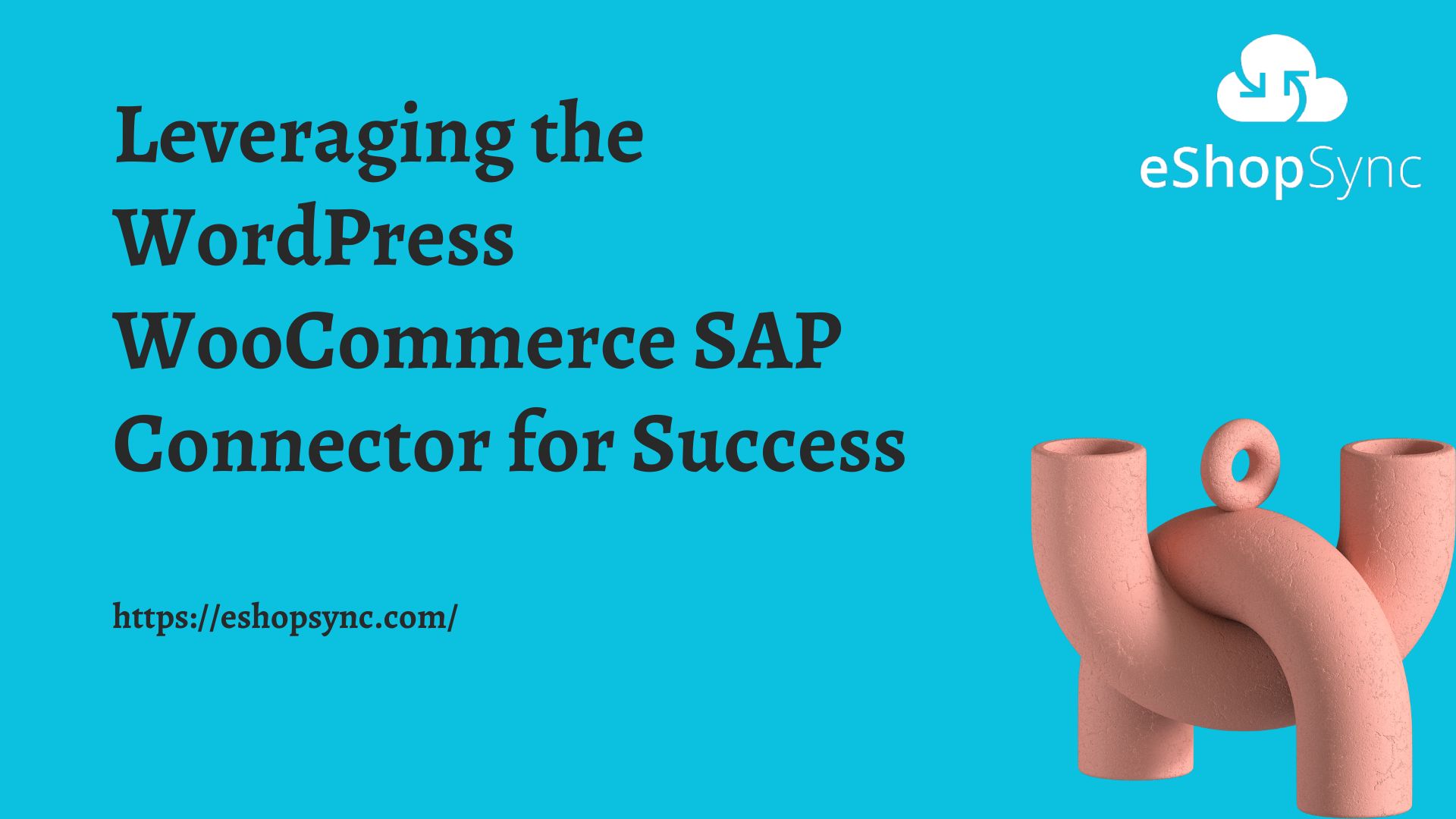 Leveraging the WordPress WooCommerce SAP Connector for Success