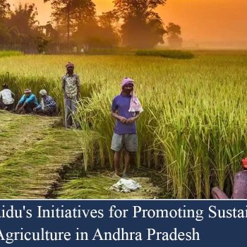 N Chandrababu Naidu's Initiatives for Promoting Sustainable and Climate-Resilient Agriculture in Andhra Pradesh