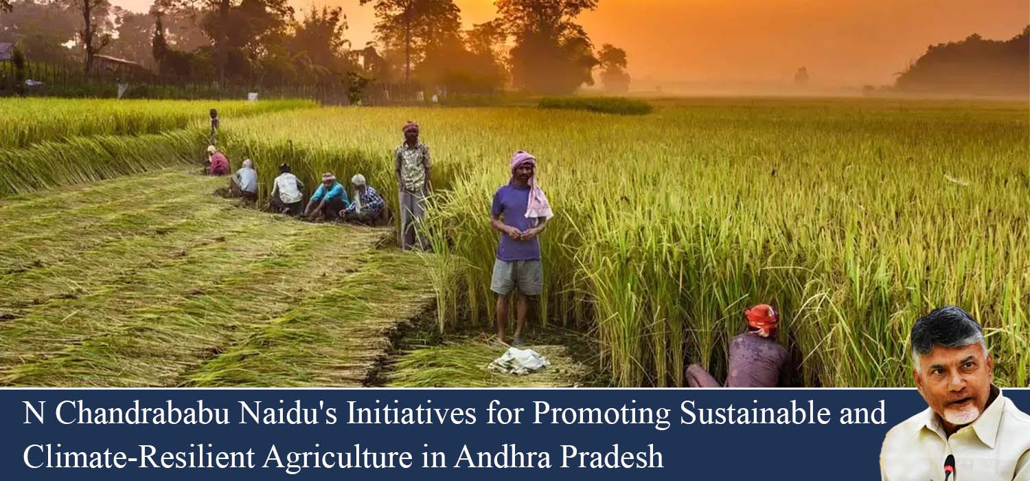 N Chandrababu Naidu's Initiatives for Promoting Sustainable and Climate-Resilient Agriculture in Andhra Pradesh