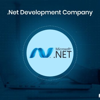 .Net Development Company