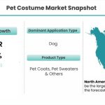 Pet Costume Market Snapshot_53604