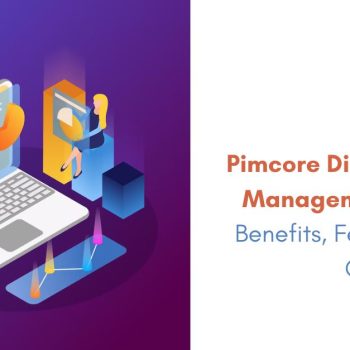 Pimcore Digital Asset Management (DAM) - Benefits, Features and Capabilities