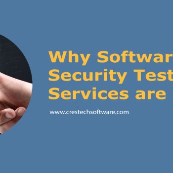 Security-Testing-Services-need