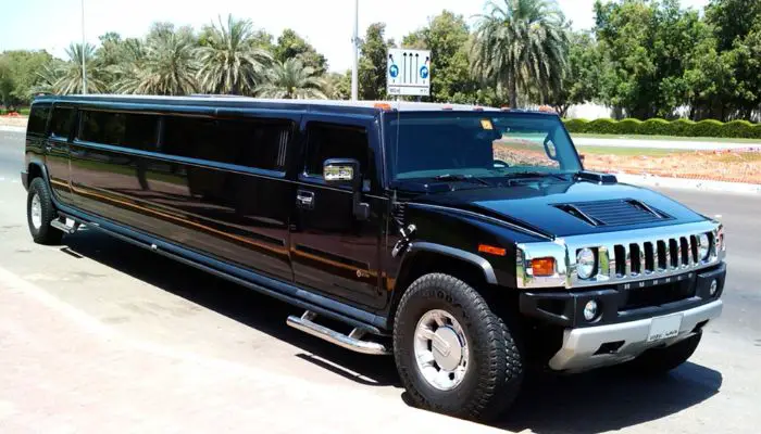 Stretch Limo Rental (3)