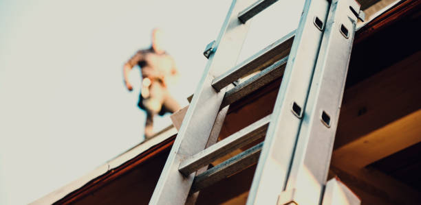 The Benefits and Drawbacks of Various Ladder Materials