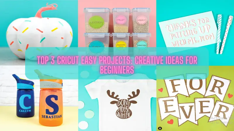 Top 3 Cricut Easy Projects Creative Ideas for Beginners