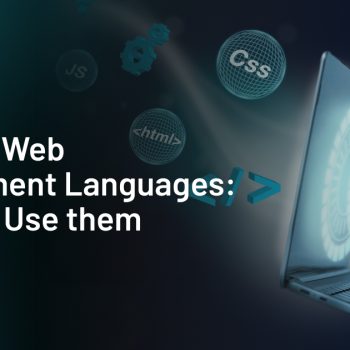 Top 7 Web Development Languages And Where To Use Them