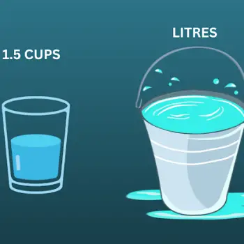 1.5 Cups to Liters