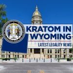 The Debate Over Kratom in Wyoming: Explore the arguments for and against kratom regulation.