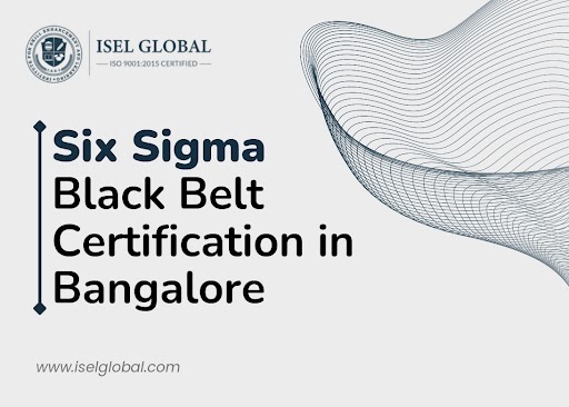 six sigma black belt