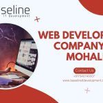 web development (9)
