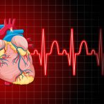 difference between heart attack and stroke