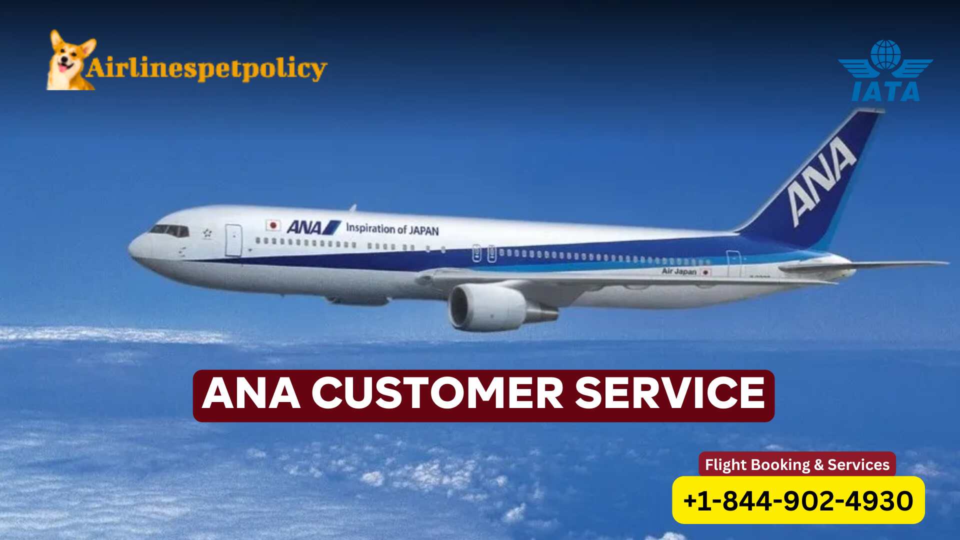 ANA Customer Service