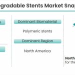 Biodegradable-Stent-Market-Snapshot