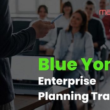 Blue Yonder Enterprise Planning Training
