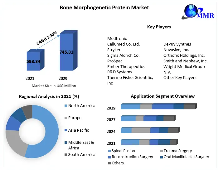 Bone Morphogenetic Protein Market
