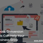 How Data Conversion Services Can Help Your Business Grow_11zon