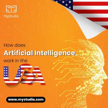 How does artificial intelligence work in the USA