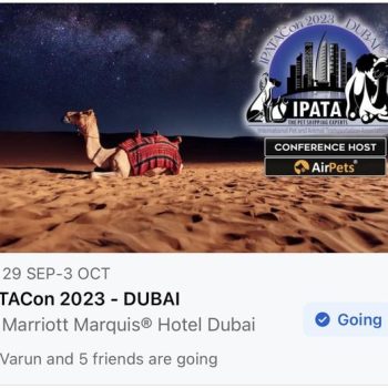 IPATA Conference in Dubai, UAE