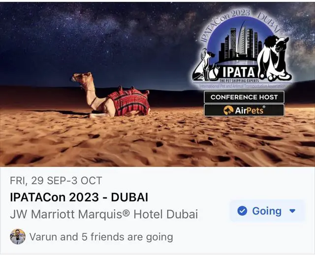 IPATA Conference in Dubai, UAE