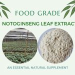 Notoginseng-leaf-extract-1