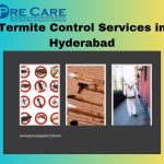 Termite Control Services in Hyderabad  Pre Care Pest Control