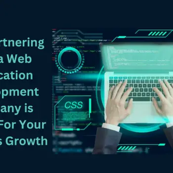 Why Partnering With a Web Application Development Company is Crucial For Your Business Growth (1)