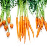 carrot-on-white-2