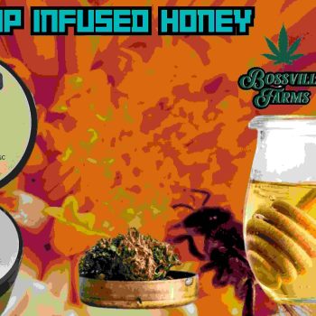 cbd & hemp infused honey (1)