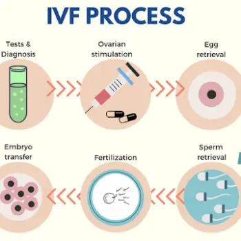 IVF Treatment Process