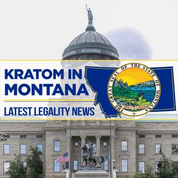 Is Kratom Legal in Montana? - Latest Legality News