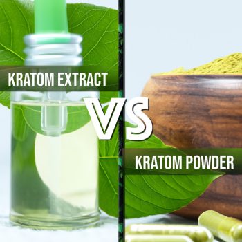 Kratom Extract vs. Powder: Which One Is Right for You?