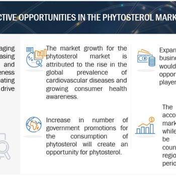 phytosterols-market1