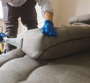 Couch-Cleaning-Services