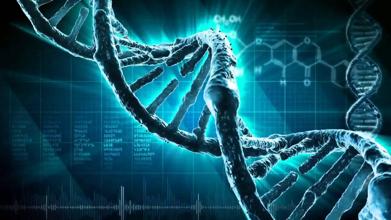 DNA Synthesizer Market