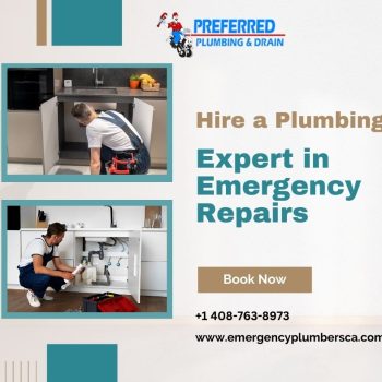 _Hire a Plumbing Expert In Emergency Repairs